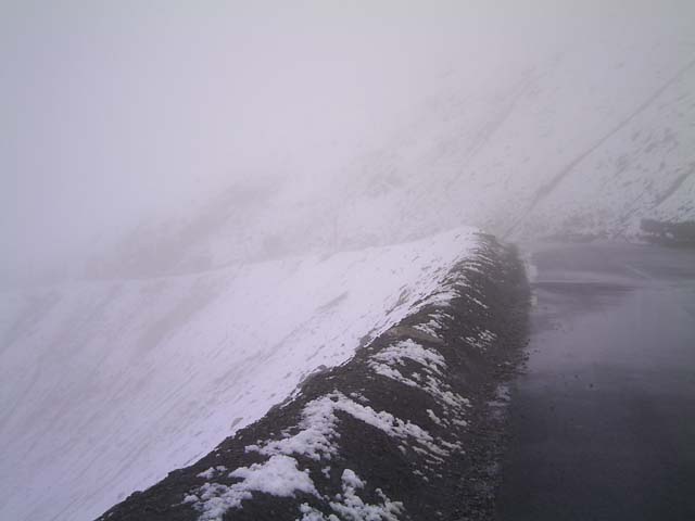 Bonette10