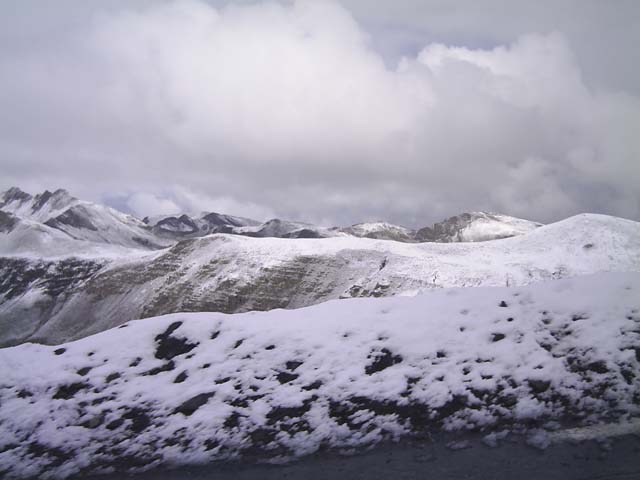 Bonette11