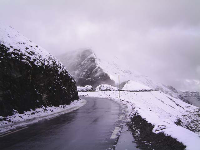Bonette12