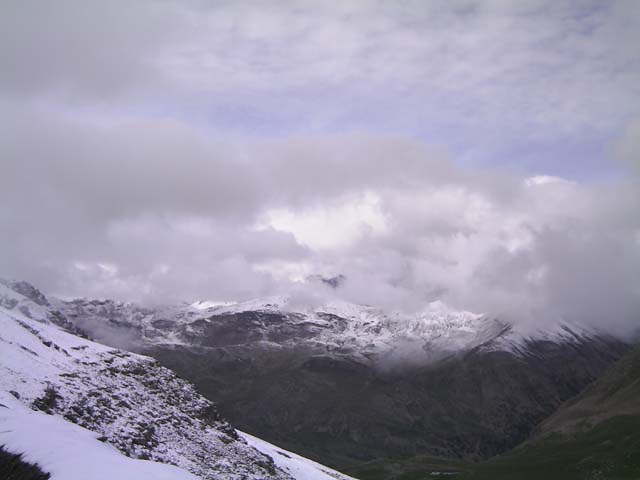 Bonette13