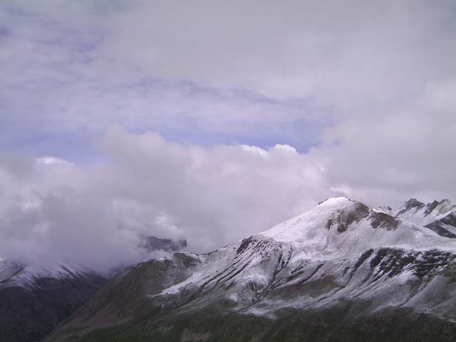 Bonette14