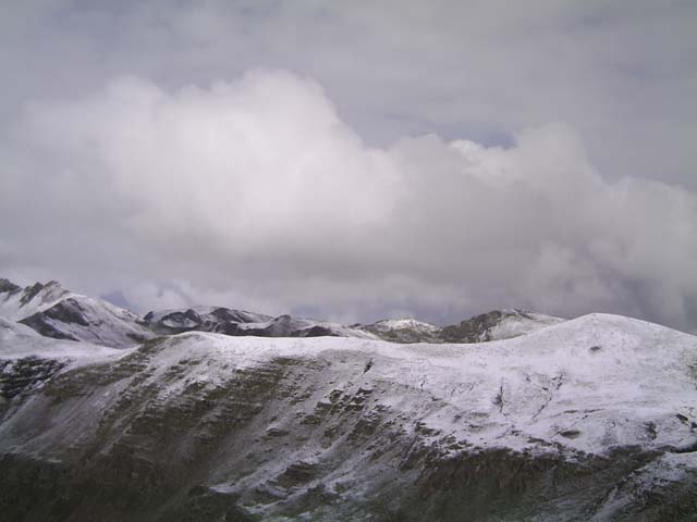 Bonette15
