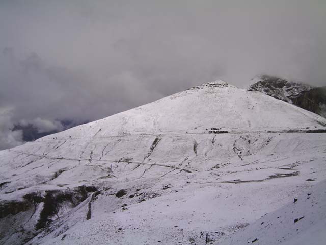 Bonette16