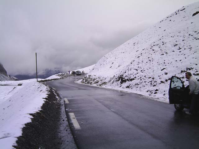 Bonette17
