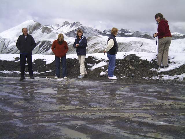 Bonette18