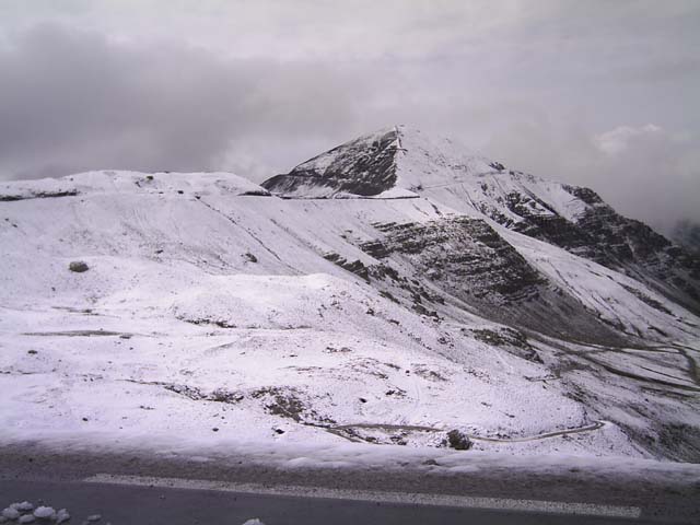 Bonette21