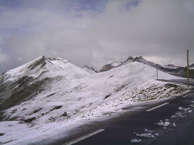 Bonette24
