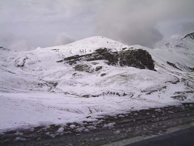 Bonette26