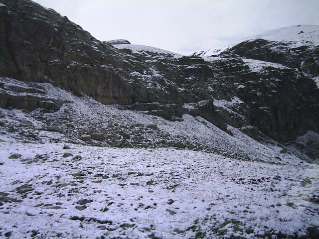 Bonette28