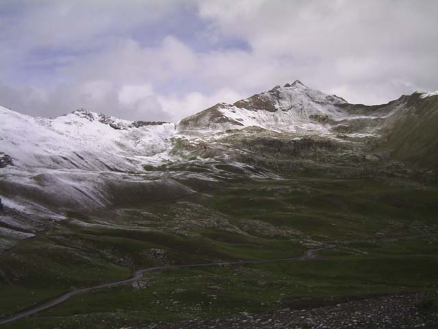 Bonette29