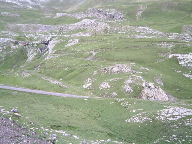 Bonette31