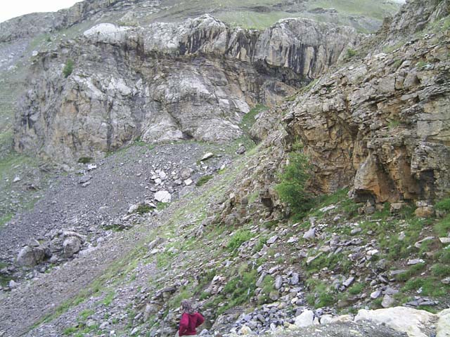 Bonette34
