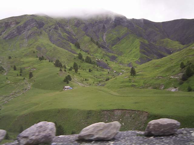Bonette35