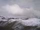 Bonette15