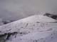 Bonette16