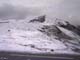 Bonette21