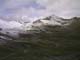 Bonette29