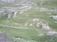 Bonette31