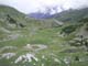 Bonette32