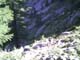 Jocelyne12