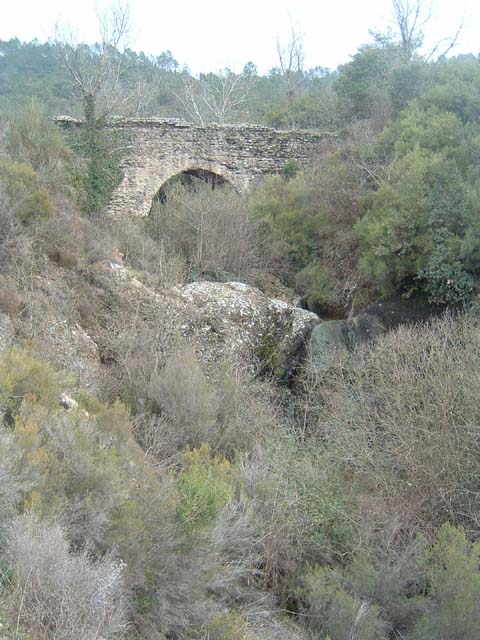 BSergent 27