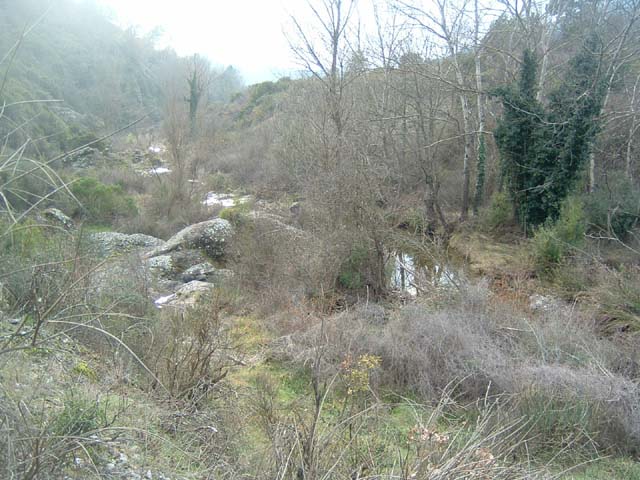 BSergent 28