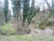 BSergent 23