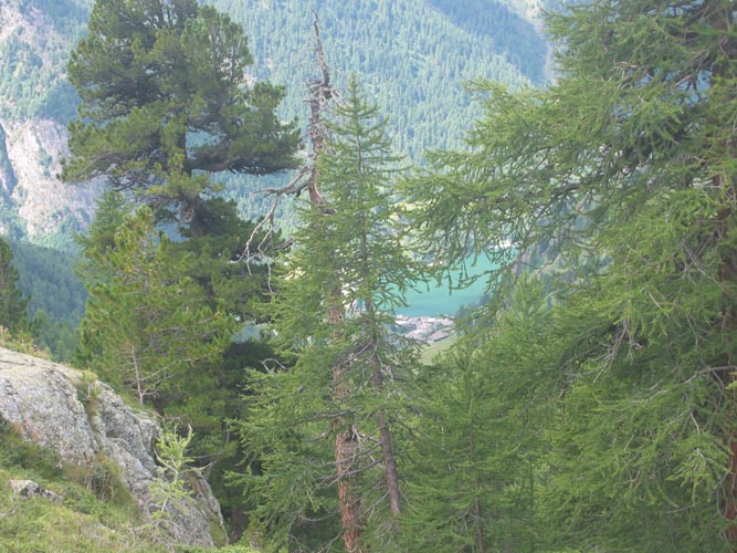 Jour 3 - Img 11