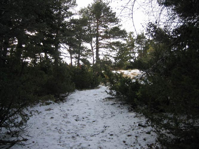 BernardM08