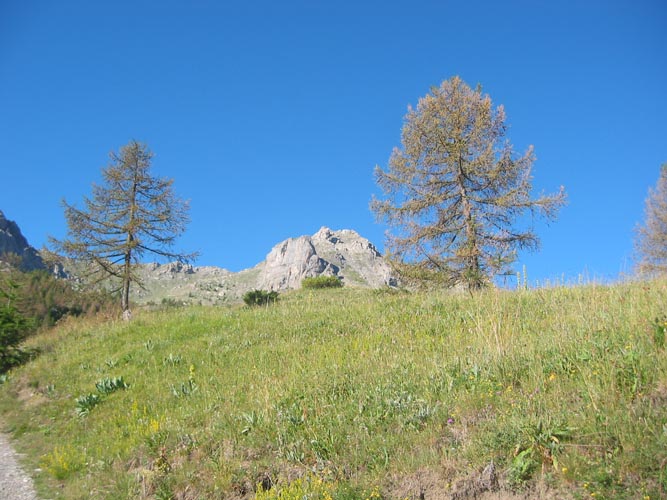 Chapeau de Gendarme03