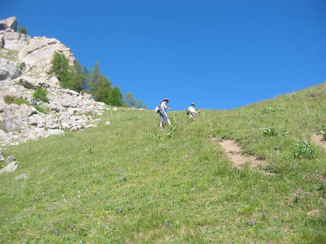 Chapeau de Gendarme05