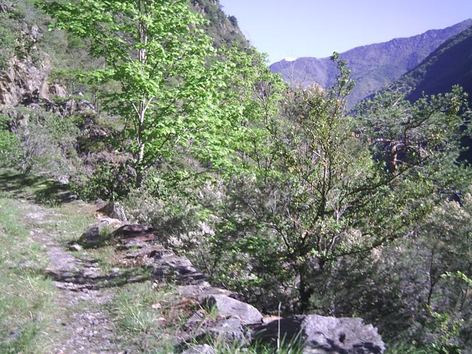 Alain01