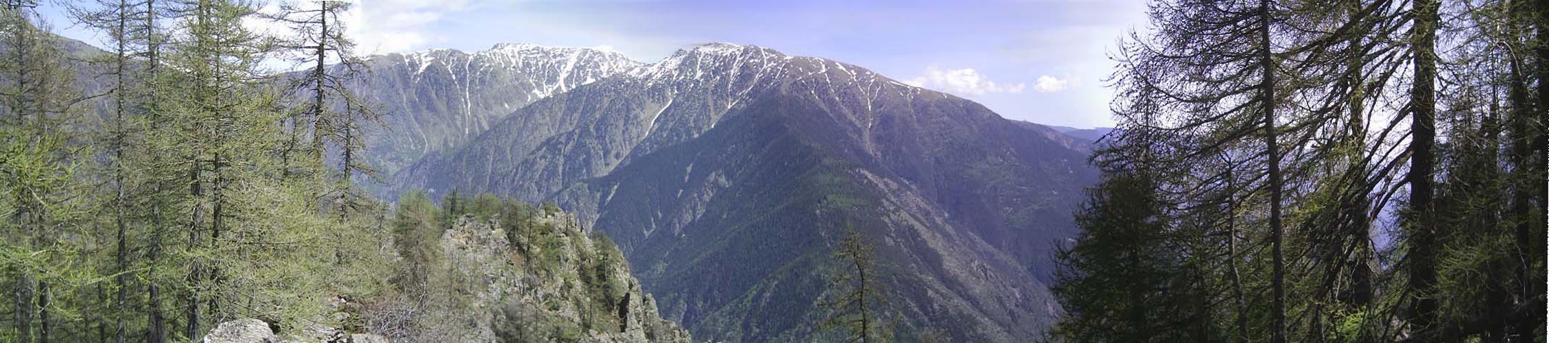Panorama