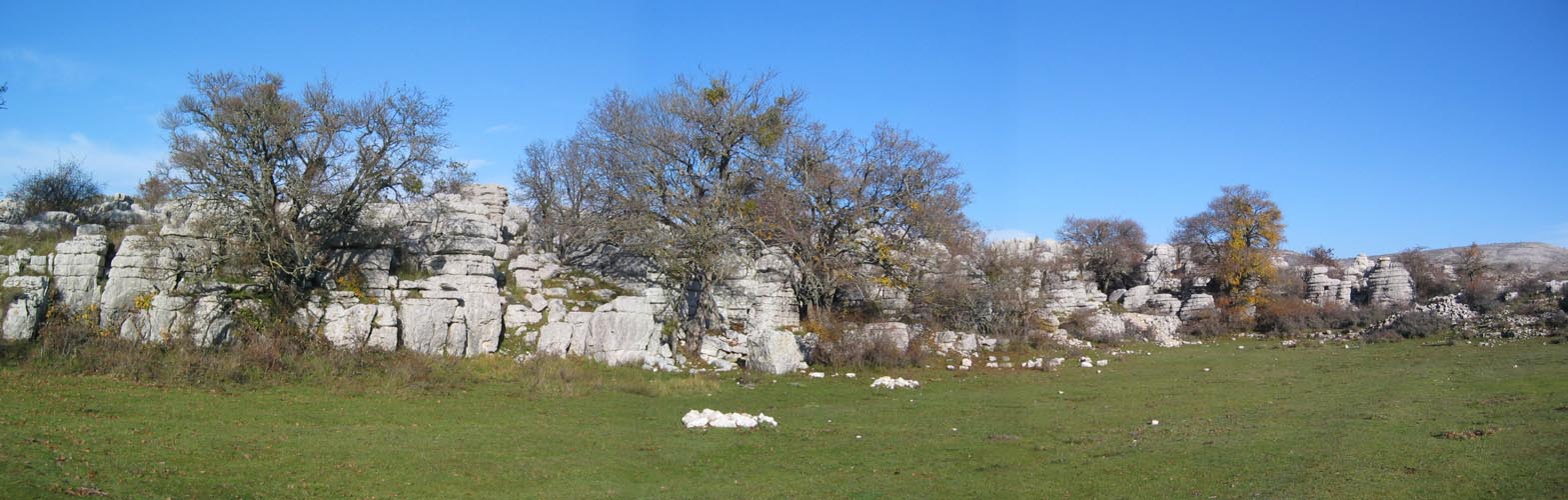 Philpano1