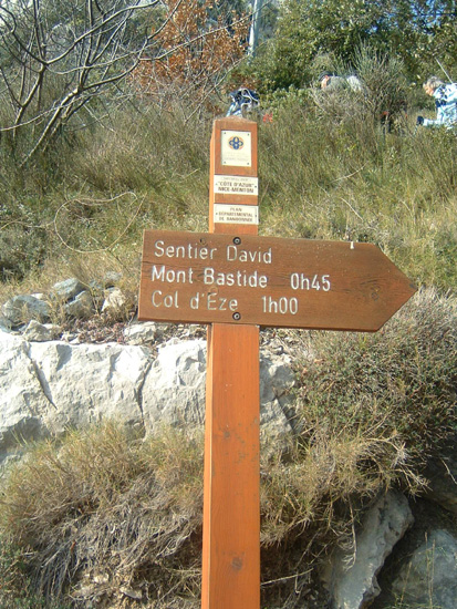 Bernard S42