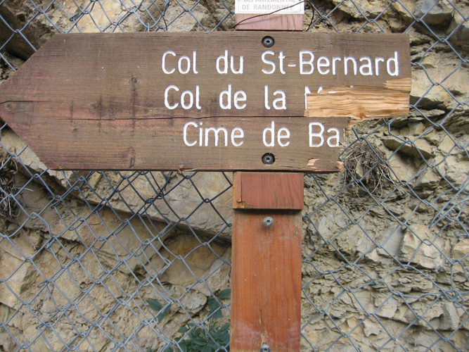 Bernard M01