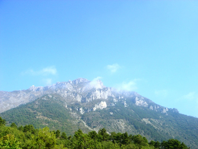 Faouzia10
