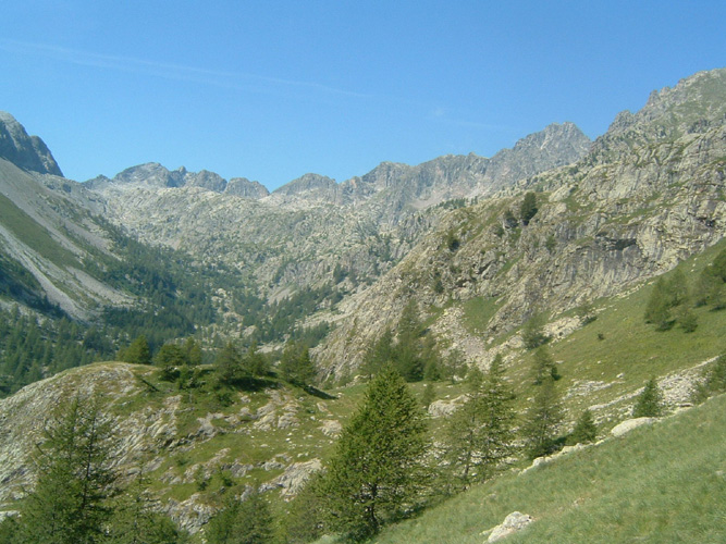 Bernard S021