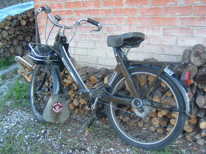 Bernard S036