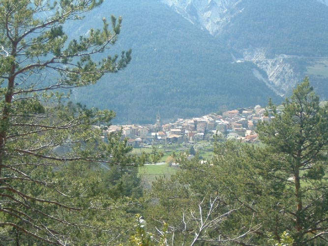 Bernard S093