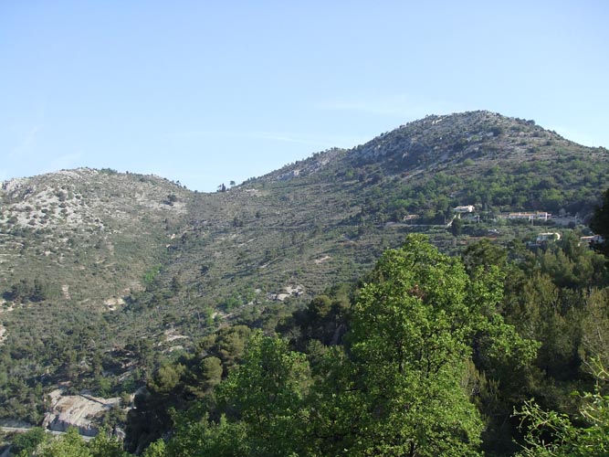 Cima05
