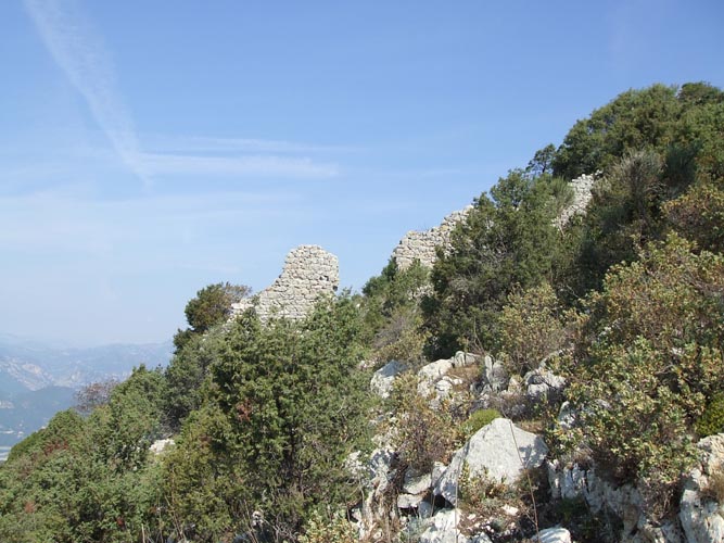 Cima15