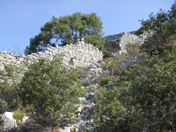 Cima16