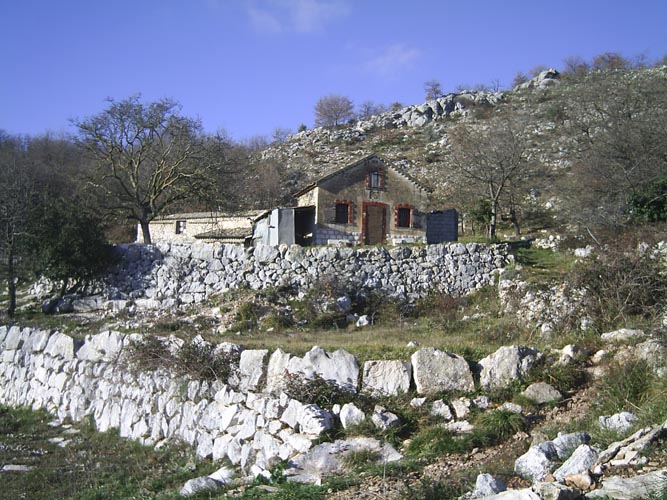 Alain26