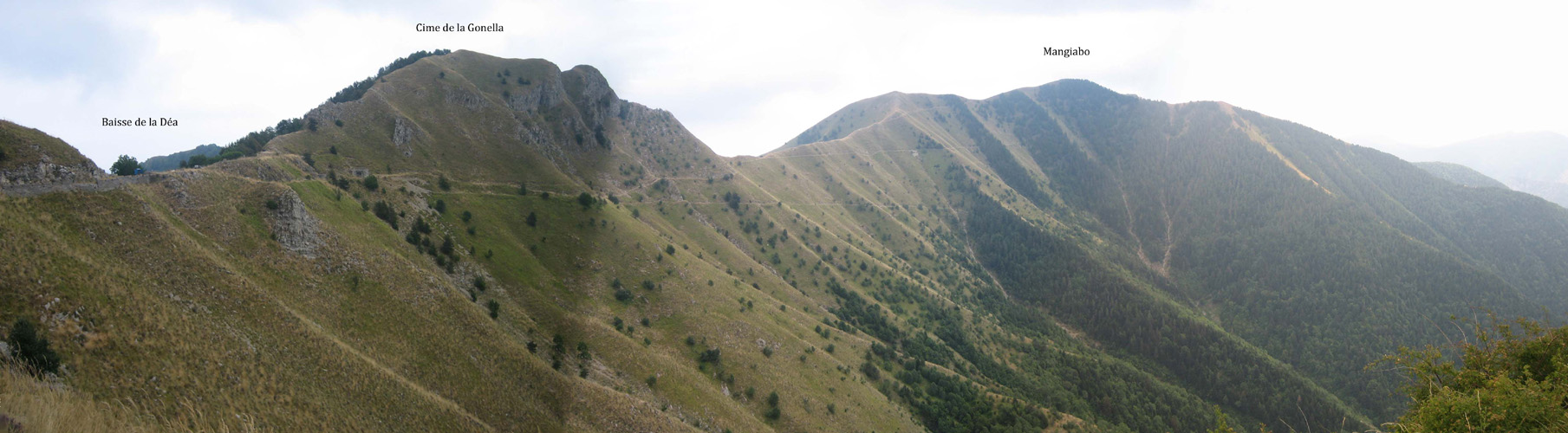 Panorama 1