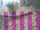 Arbre2