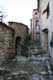Evelyne 26