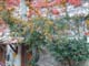 Souad 07