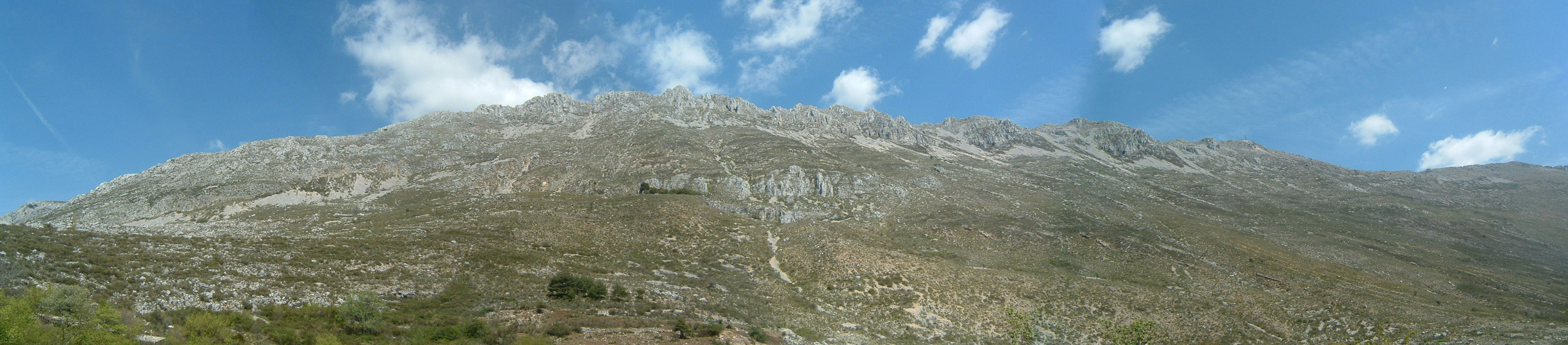 Panorama1