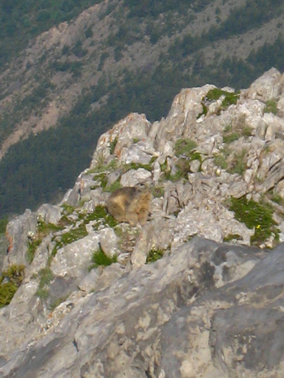 Philippe033